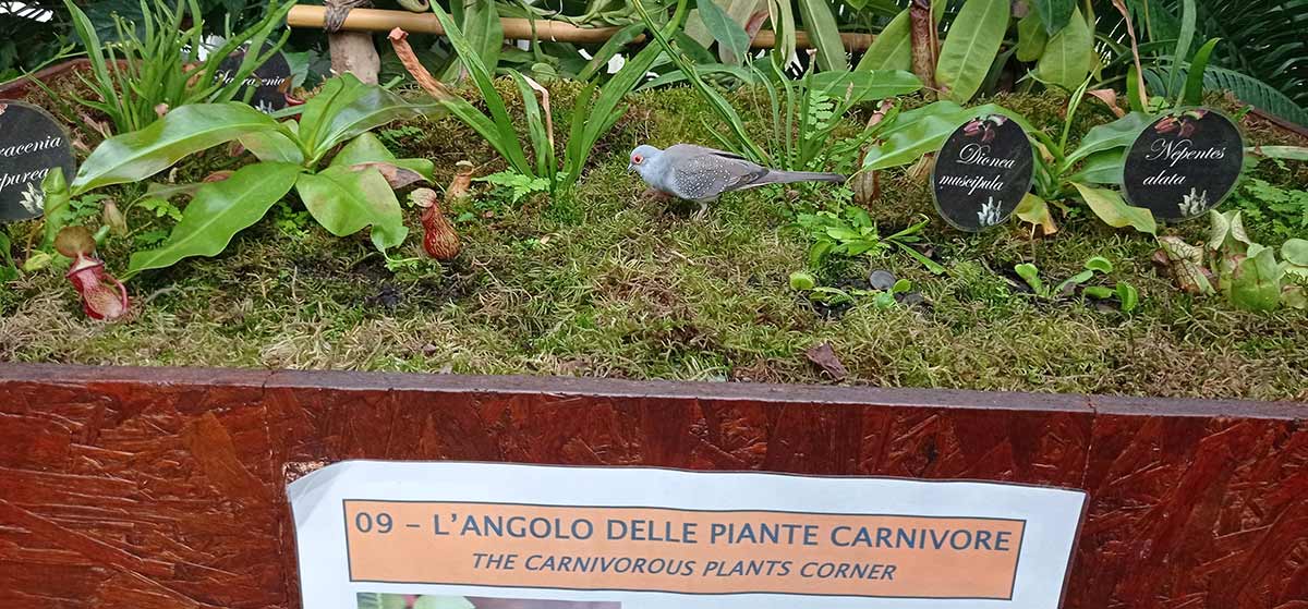 Study Visit - Kuća leptira - foto