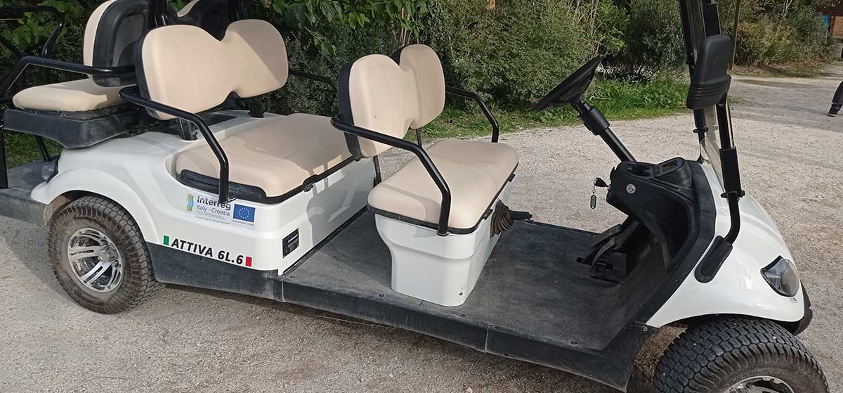 Study Visit - električno vozilo Interreg T4A - foto