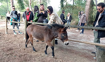 Studijsko putovanje Emilia Romagna - photo
