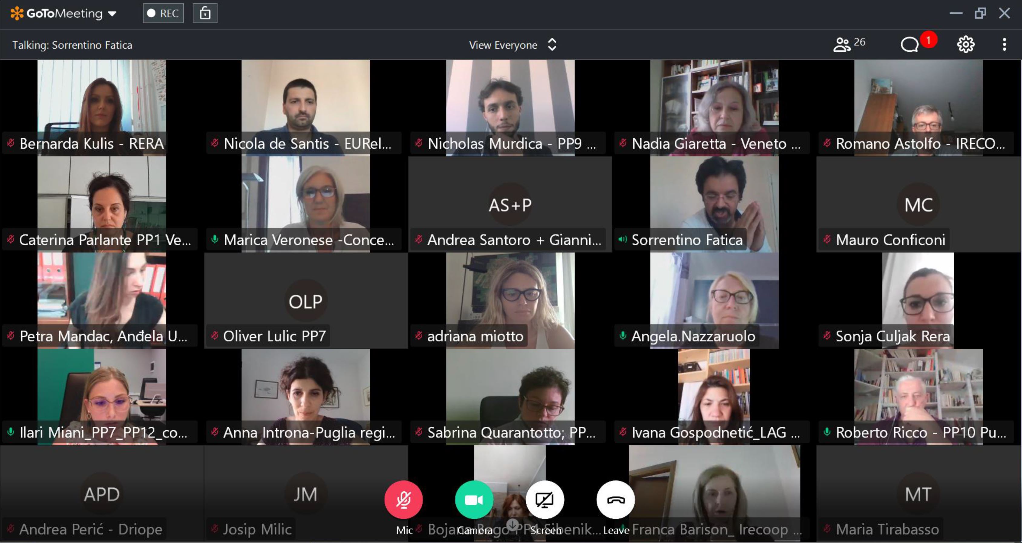 4. SC virtual meeting - foto