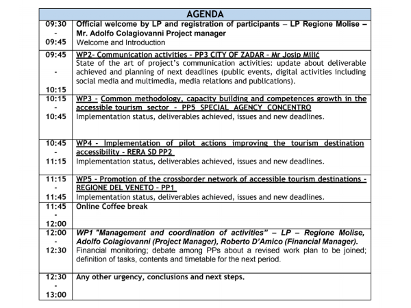 6. SC virtual meeting - foto