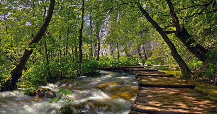 Breathtaking beauty of the Plitvice Lakes - photo