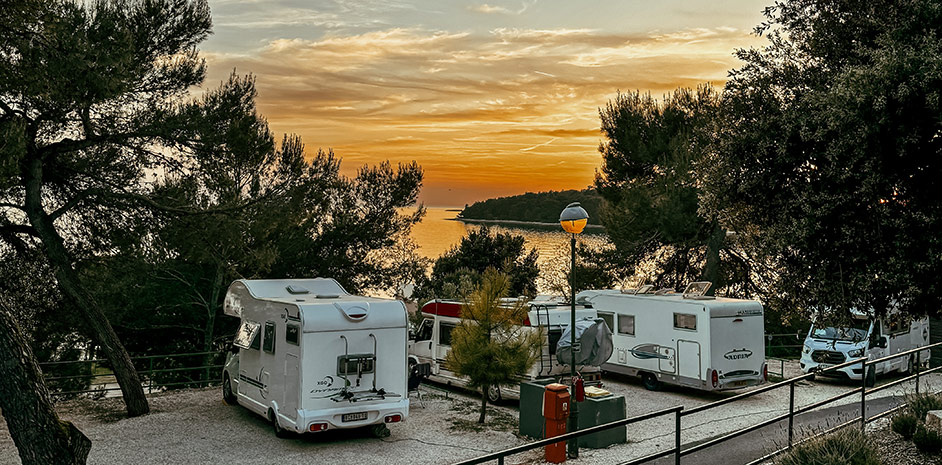 Porton Nature Hideouts - Summer 2024 - foto