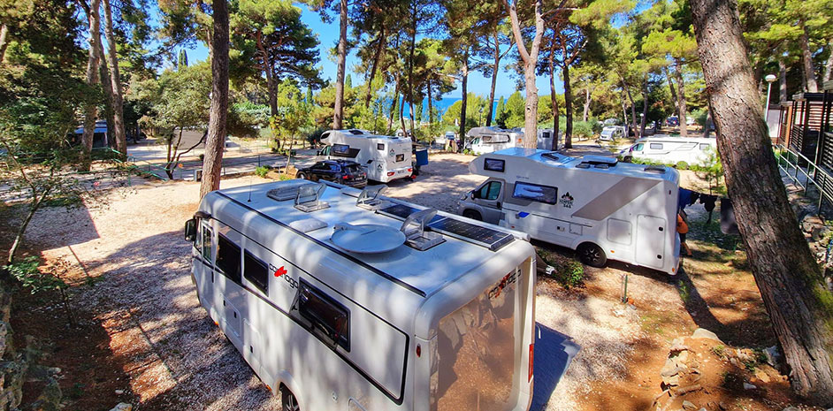 Porton Nature Hideouts - Summer 2024 - foto