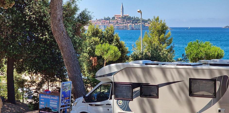 Porton Nature Hideouts - Summer 2024 - foto