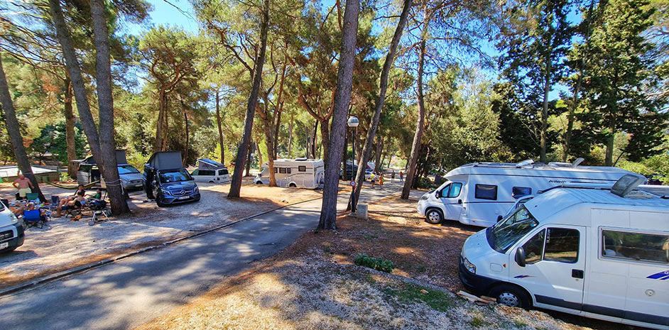 Porton Nature Hideouts - Summer 2024 - foto