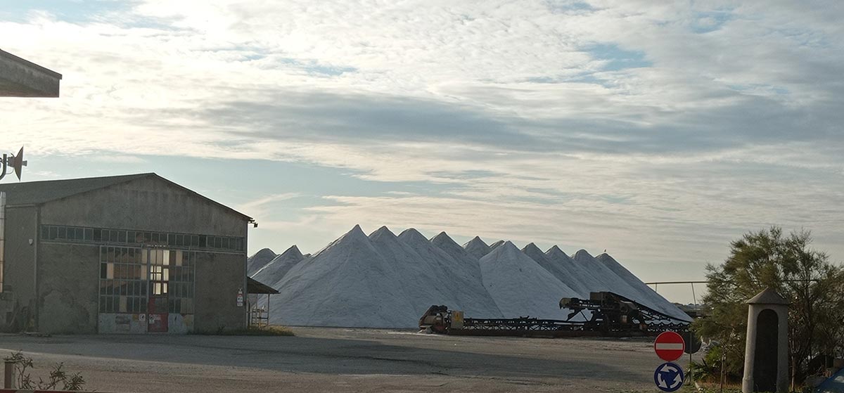 Study Visit - Solana Cervia - foto