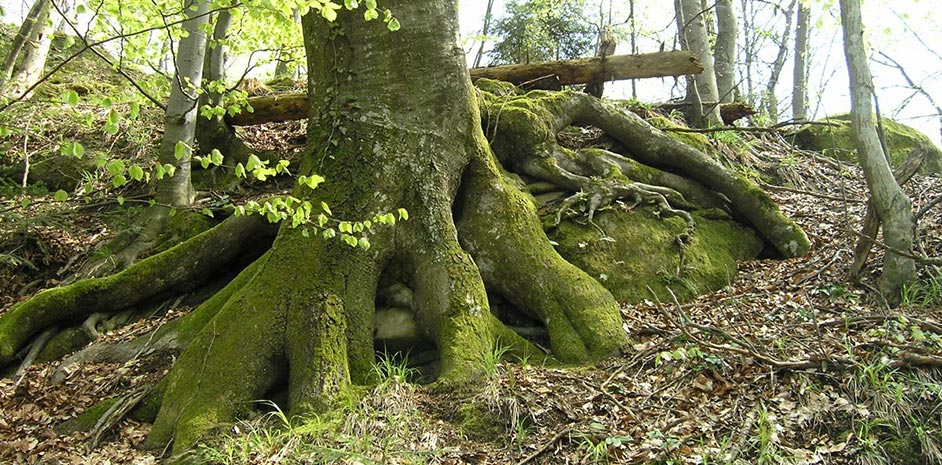 Parco naturale Zagorske gore, photo: Parchi della Croazia